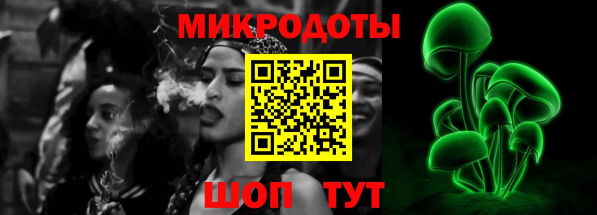 Псилоцибиновые грибы GOLDEN TEACHER Александров