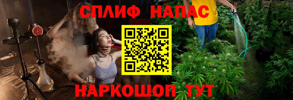 Каннабис SATIVA & INDICA Александров